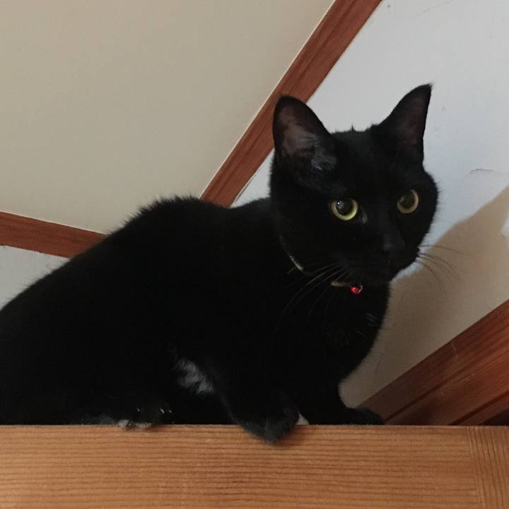 363b7311 1c1f 49f0 9f41 45ab76e60b3b 1524584935822