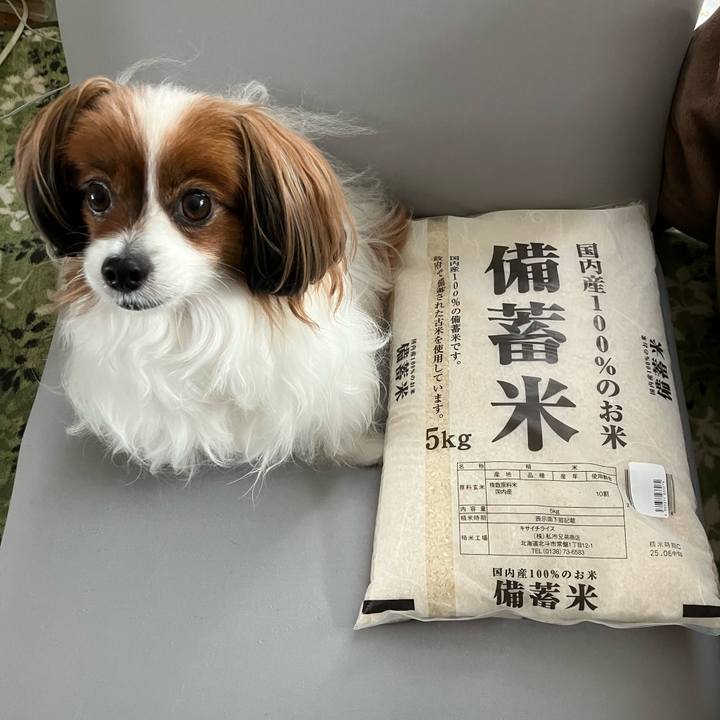 363b78d9 8f3f 40e9 8b9a 727199f37ddb 1750203512924