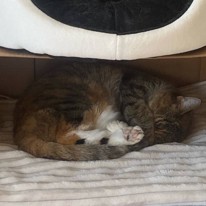 363b7d72 2802 4f3e 8d6e a8803cb9cfbd 1731121261146