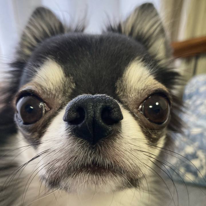 363beeec 8850 4ab4 b025 bc2aa12d423d 1637448603167