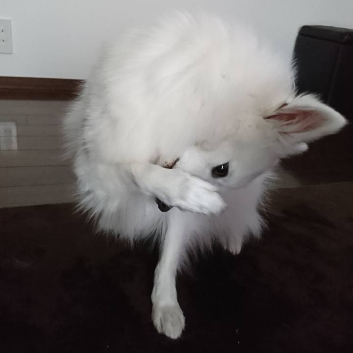 363c0b0f c1b1 4fb9 a194 e5de2fcbe840 1528949278445