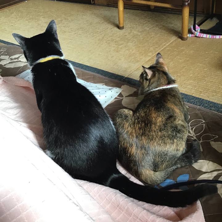 363c0b36 514e 43e9 89a9 5ea1eb188c8b 1651273737546