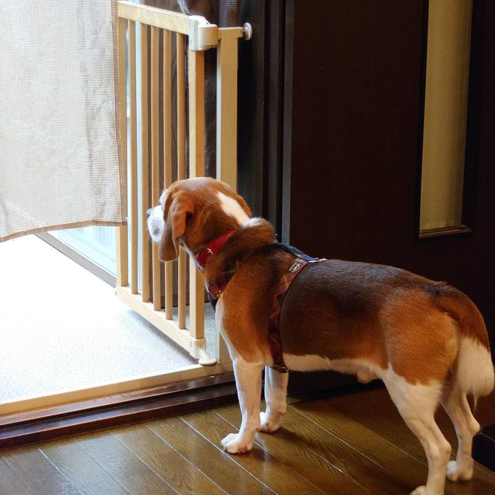 363c3a5c 2dd0 4774 8aa6 9e10cfb46f02 1726392031352