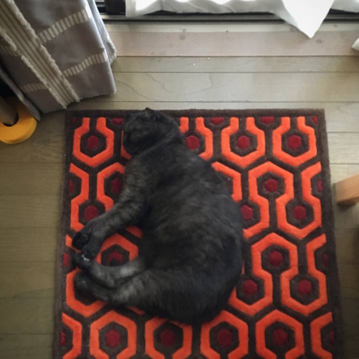 363c408d 702a 4e16 b5d0 4923d0095a7f 1530426308168