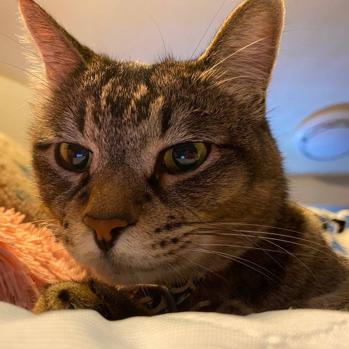 363c94a7 7347 4925 8cfd 3a3fcf2af0ff 1592965597865