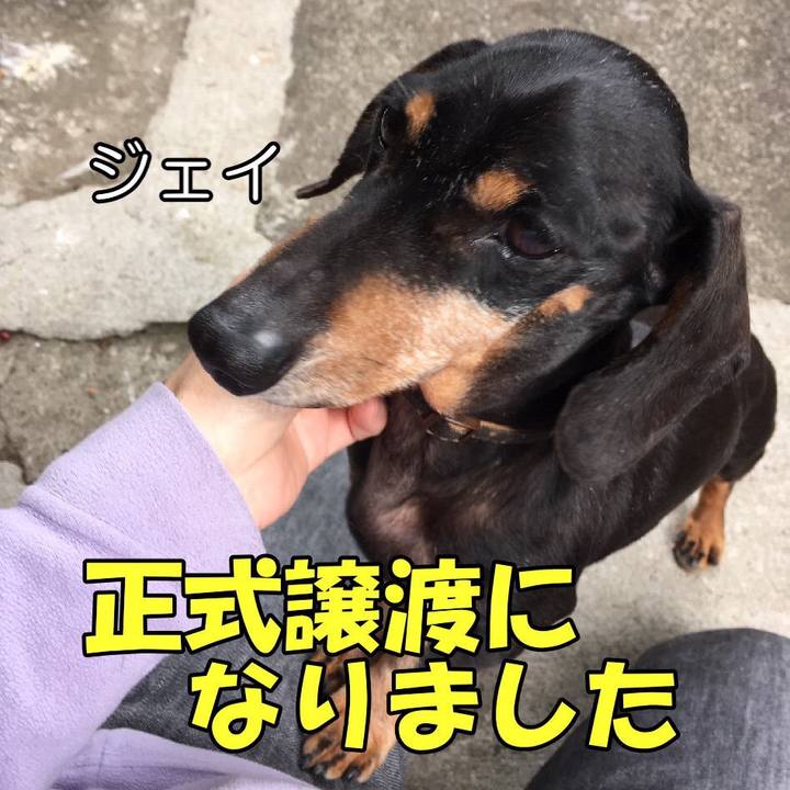 363c97fc a1b9 457a 9212 9a6a47aa6757 1564475735677