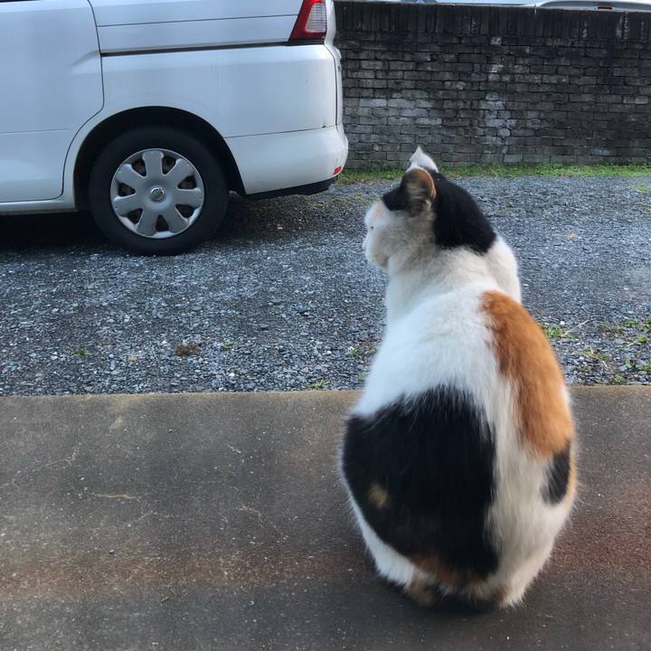 363cbe82 f06d 4cca b831 89fc6a72a744 1603405732980