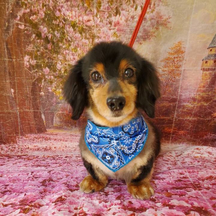 363cc22a 567c 4cda 9665 a1d89aa83585 1678536918983