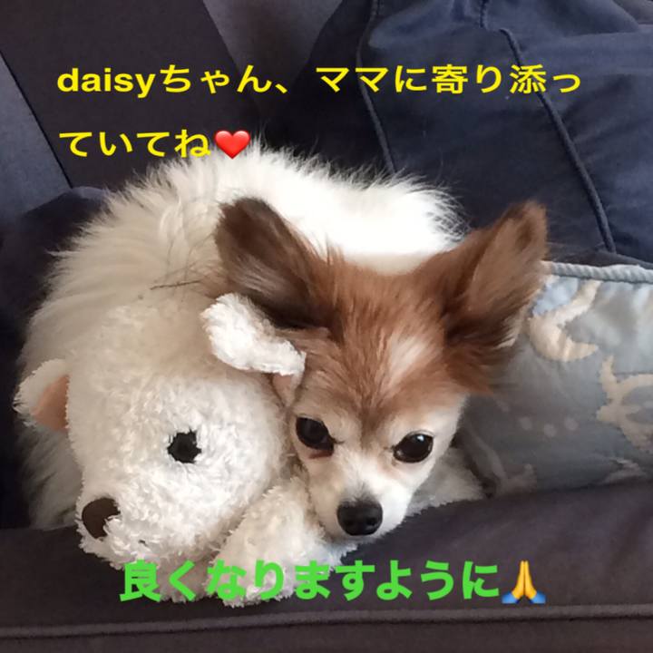 363ccbf6 924a 453e a7a2 718b16287744 1546577241562