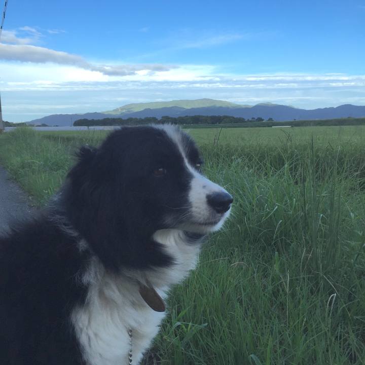 363ce20c 7655 4fcf 9526 78adf3067bef 1536013449406