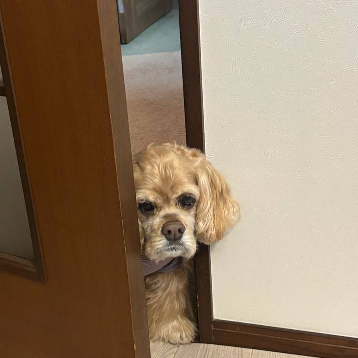 363cfc55 29dd 4b3e b43d 44de8e706503 1770908707400