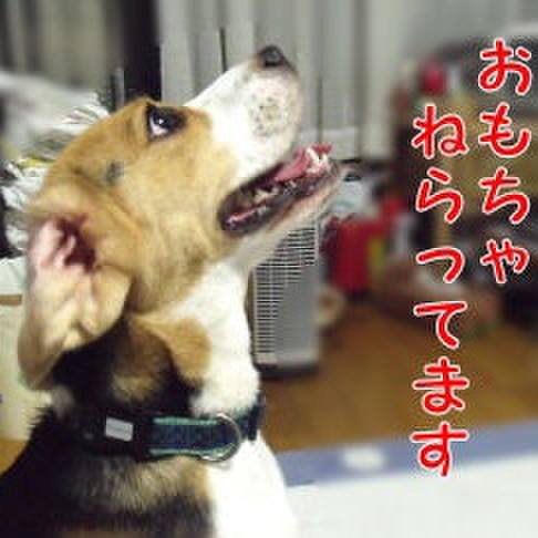 363d0b8e d673 4064 97fe ce9c05af7e71 1691277998564