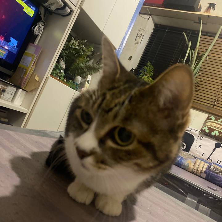 363d6509 14d0 4b22 b269 88196177ed35 1670864246281