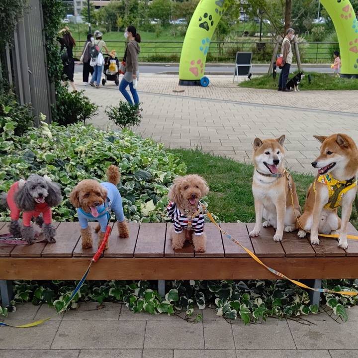 363d68a5 35ad 4177 8206 4da396d21f60 1601194395614