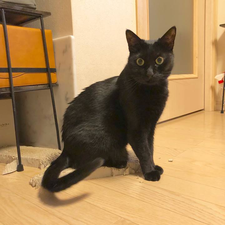 363d8a46 5f39 4509 b8c9 dc3787fc6fd8 1577009828927