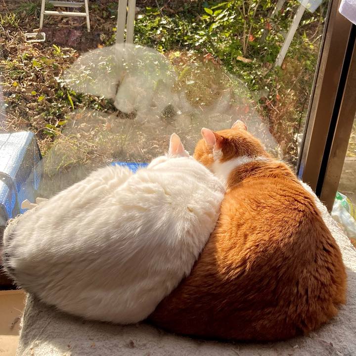 363d927a 15b3 4e84 84e1 dc161a6d5875 1705123954243