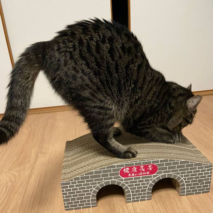 363df492 1405 45da a077 4518be0b9cb7 1645876904465