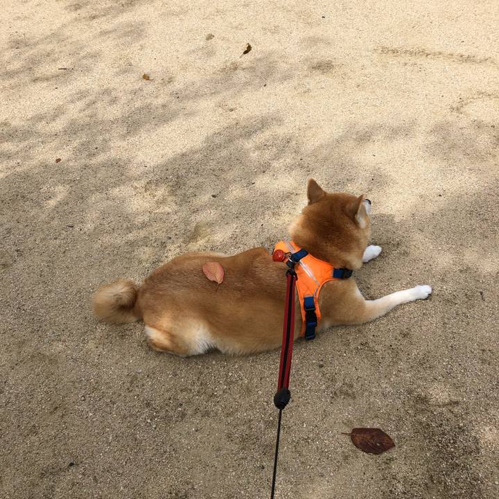 363df832 2127 4c68 8b1a c308542da83c 1568265132496