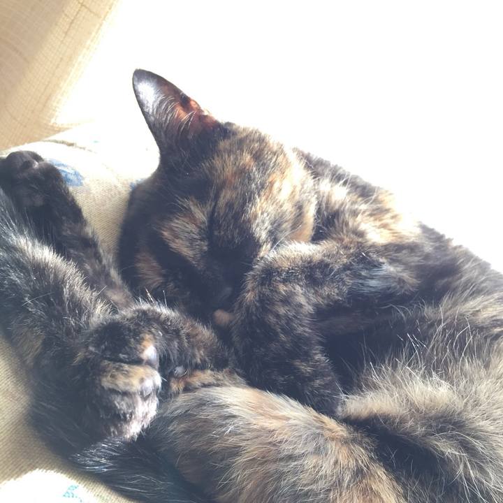 363e0359 d0a3 4f11 8712 f8bd9948091c 1512707433127