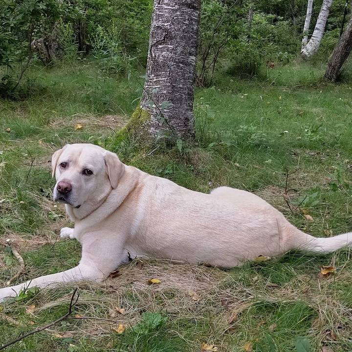 363e04bd 0d86 4612 b933 3fad80411ab5 1661768718527