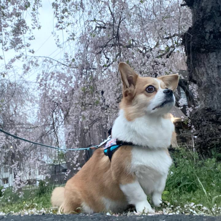 363e35c1 a3ed 4861 bd00 a4ad13c7b851 1680924374601