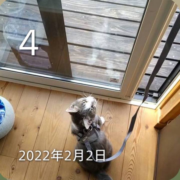 363e7609 d7d2 4393 ab0f 86a2f18e471e 1770159537095