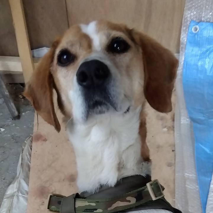 363e8ef7 a198 4191 9467 fd16cf46fa76 1680668860111