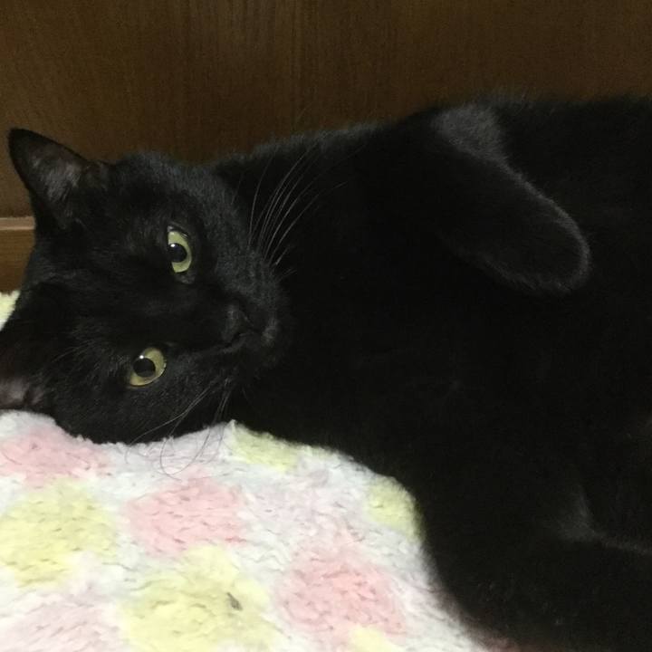 363eaf46 859b 4a00 8740 ce7d5be86761 1595373136355