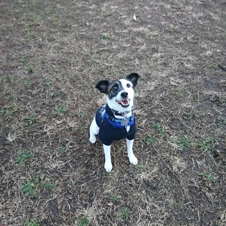 363eb02a 1c30 4745 bf96 46eeecdf98f5 1511941643404