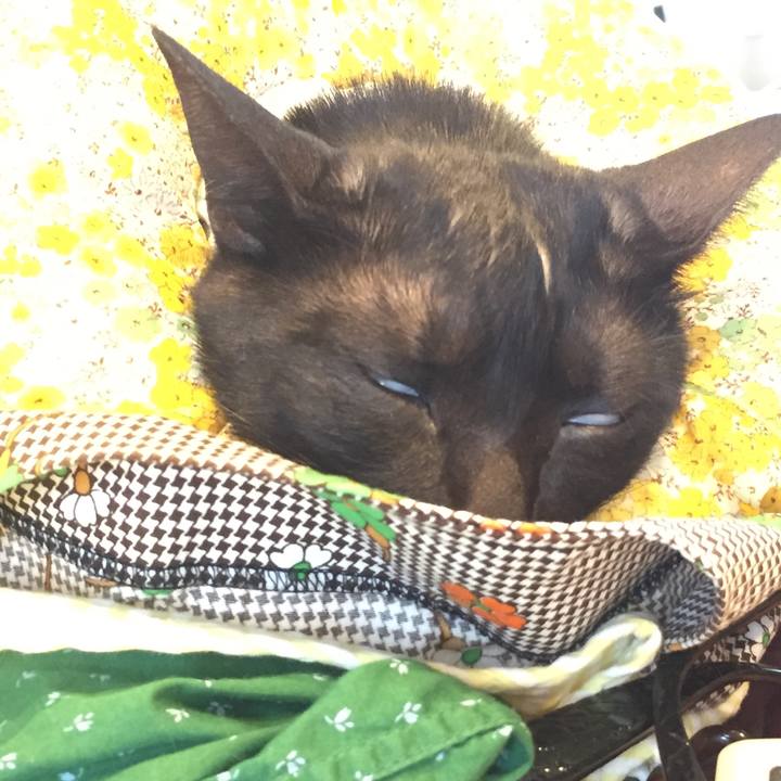 363f1bad 85e4 4921 a435 7160b2c537f2 1535813286661