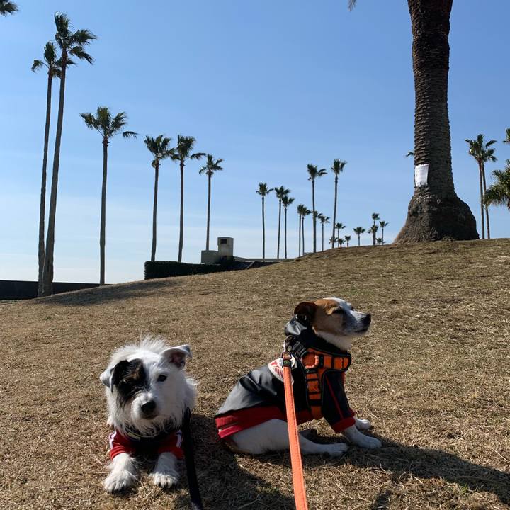 363f6c10 3f00 4cae b99d 8726d170b945 1644631405313