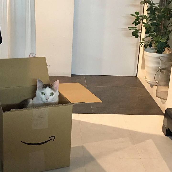 363faeb6 ae72 4f42 b71a 9aa471e7bf17 1558357794149