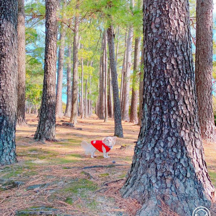 363fb958 5875 4ee0 9f49 13efe848365a 1641606047934