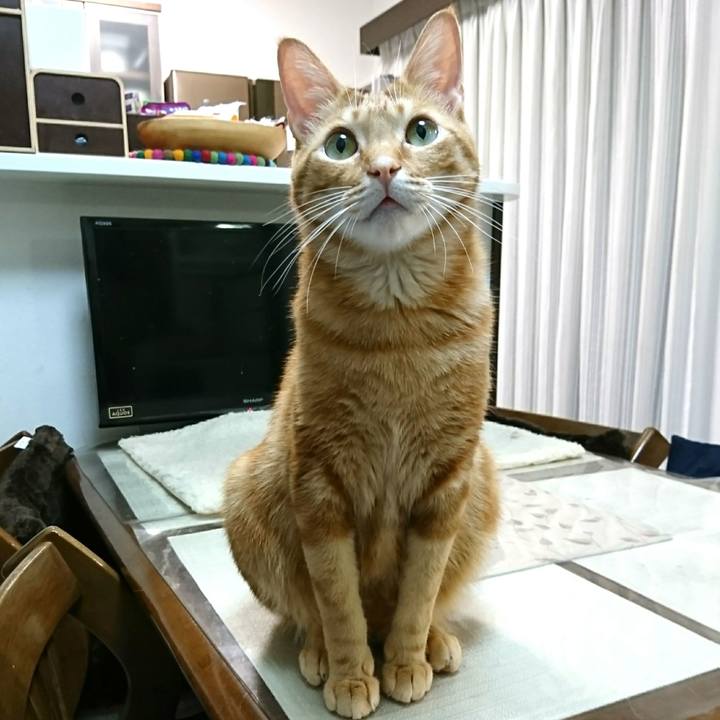 363fdecc dd8b 4fab 9a02 a9b8765d300e 1550811831807