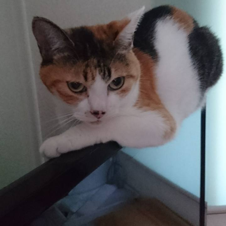 3640000e fa4a 48cb 94a6 7392c86e00d3 1600591889477