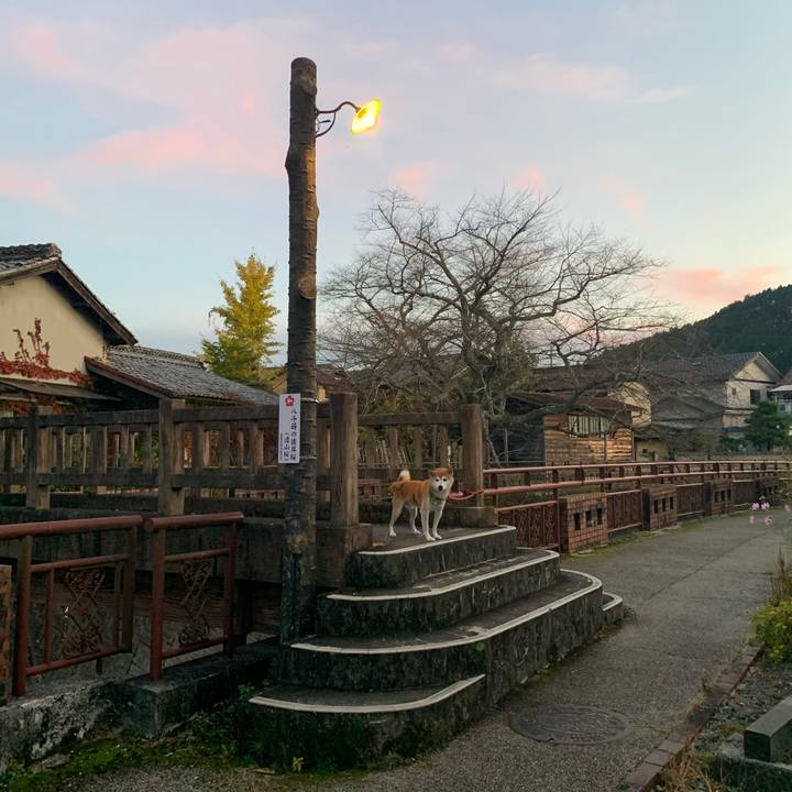 364002ad b5ac 47de 80c2 5d9cd2e89223 1636275817996