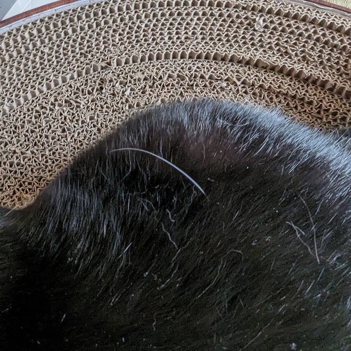 364008e4 caa2 449a bc4c a9005dc68b18 1696686465851