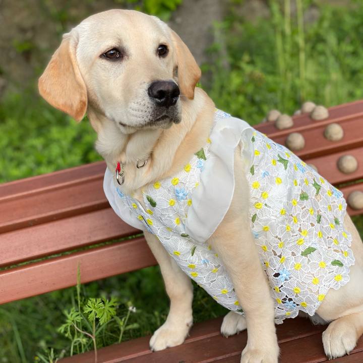 36404119 c7a3 4452 b3b5 f8404dca7cec 1618786359067