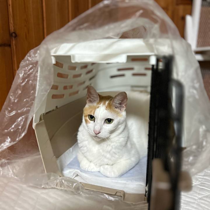 36407ac1 4498 46a4 8d4e 5bd5a482a606 1689771844590