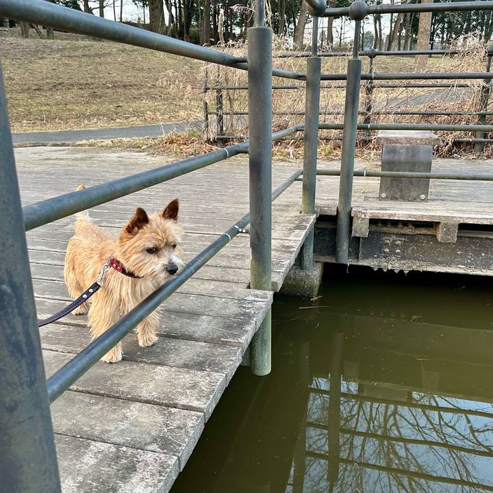 3640a9f5 4777 4b35 8dcd 4a22284c8986 1739826873064