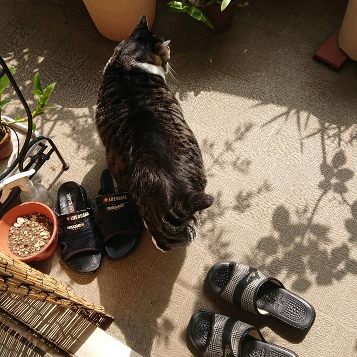 3640b024 d20d 4eb9 8a2d 2eb28673f061 1564792440791