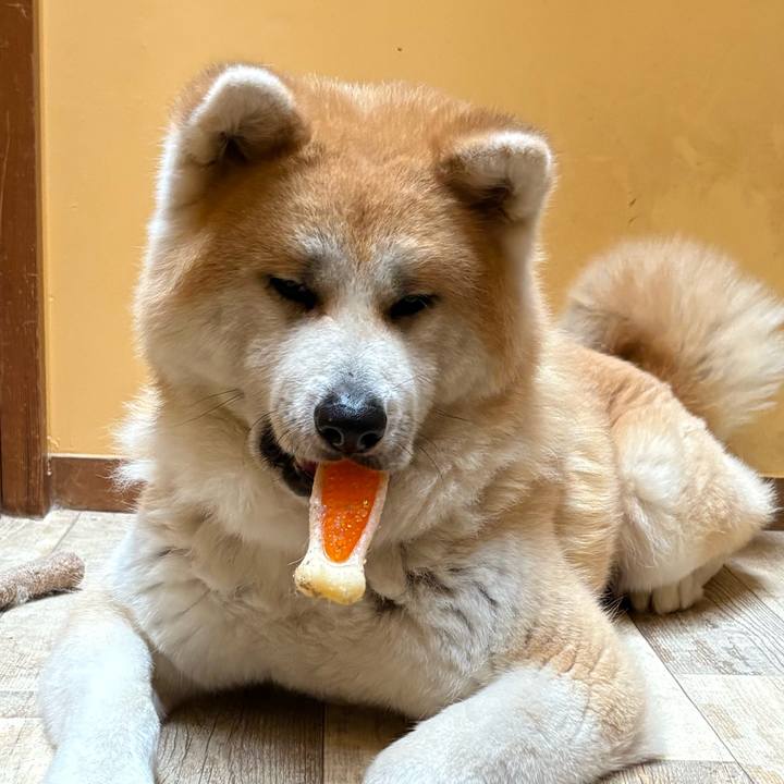 3640c39f 77cf 4d76 b3b6 4ff782519204 1745662957834