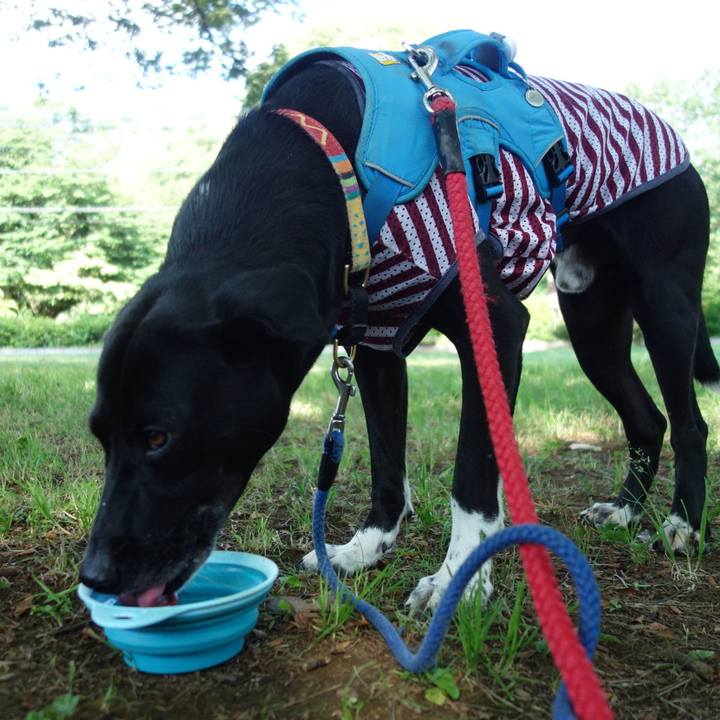 3640f33c 1e92 4f84 bc4b 85a8032c1ff8 1624837850883