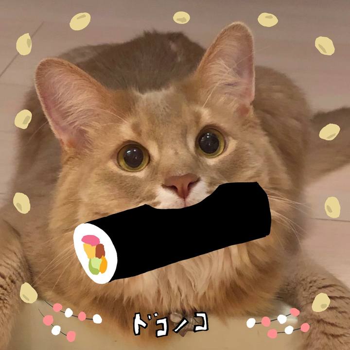 3640f89c 2b9a 43f0 9736 796c3e4a4618 1741227084962