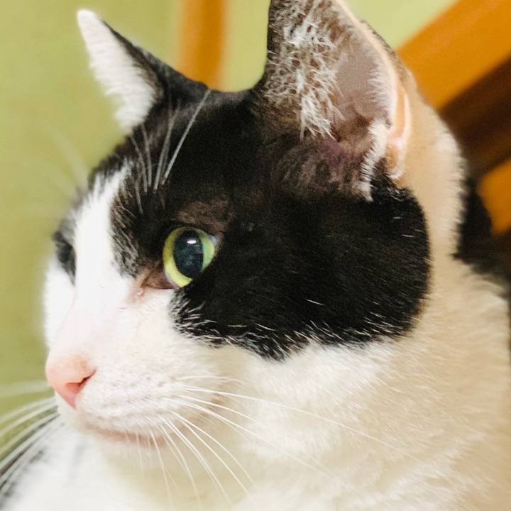 3641035e 4418 4ef3 b58a 647bee21359e 1603764092251