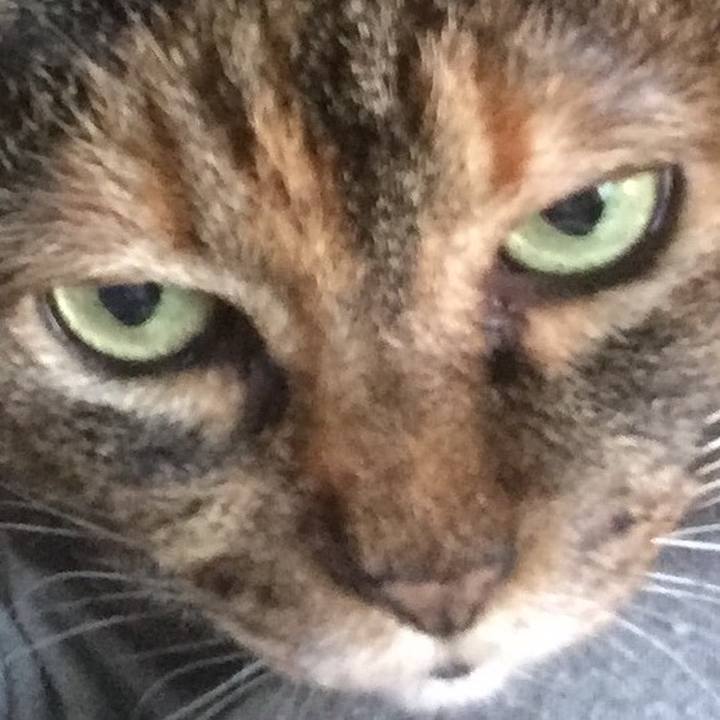 364136d1 22af 4793 aed7 0348704127d5 1509444431961