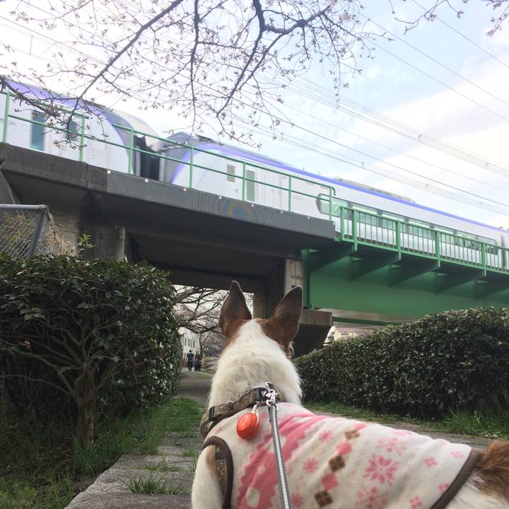 36413a92 7210 488f 892b 629bb97101df 1616284598035