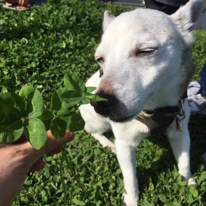 3641539b 6ef6 4639 b278 24e5600f4926 1759202295788