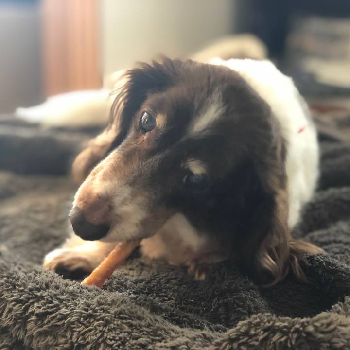 36418a44 17ce 4746 b1b8 502808c9a15b 1554519171467