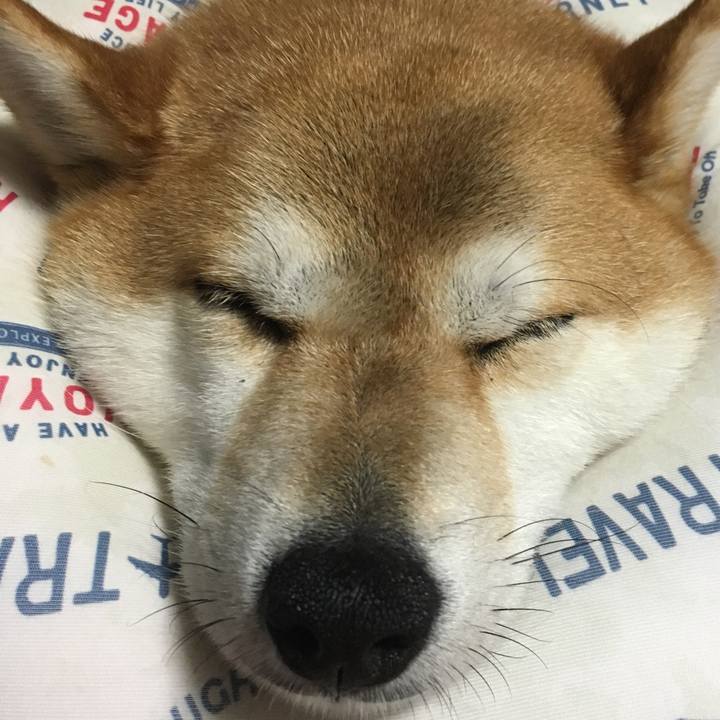 364190e9 0ca9 4dee 8406 2ae4a3a4f60f 1593345659798